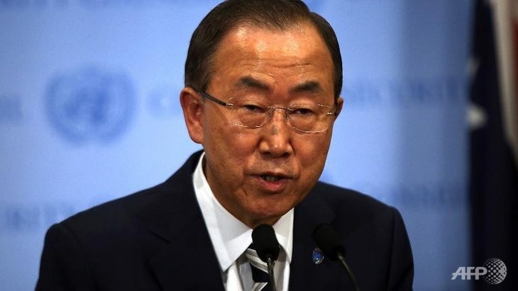 UN calls for combating environmental crimes - ảnh 1